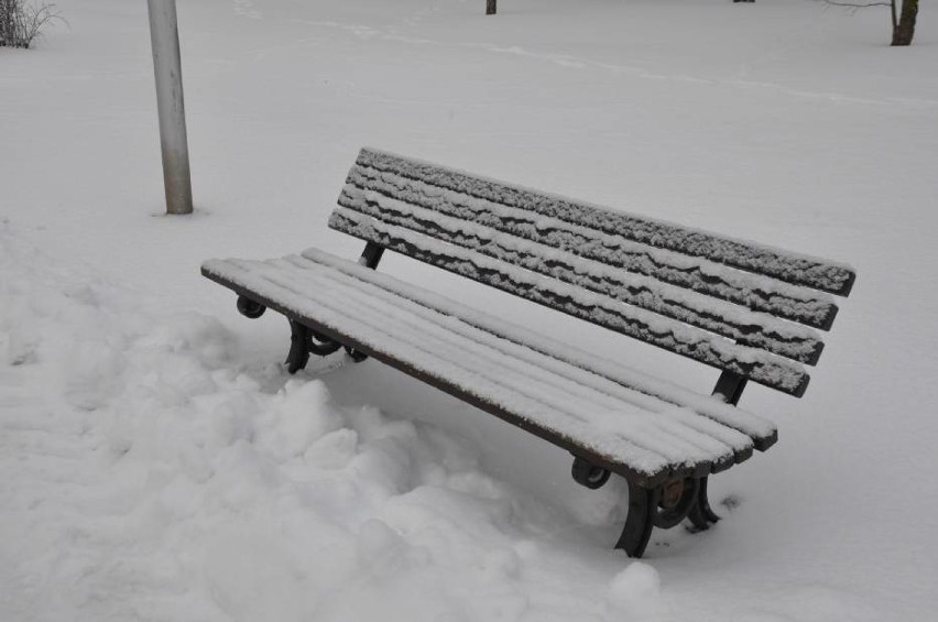 Zima w Pleszewie. To  już ostatnie dni z mrozem i śniegiem