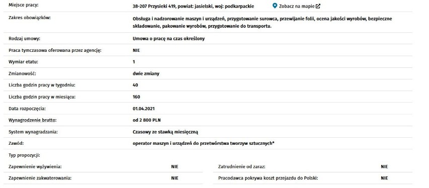 Aktualne oferty pracy w Jaśle i okolicy. Kogo szukają pracodawcy i ile płacą? [MARZEC]