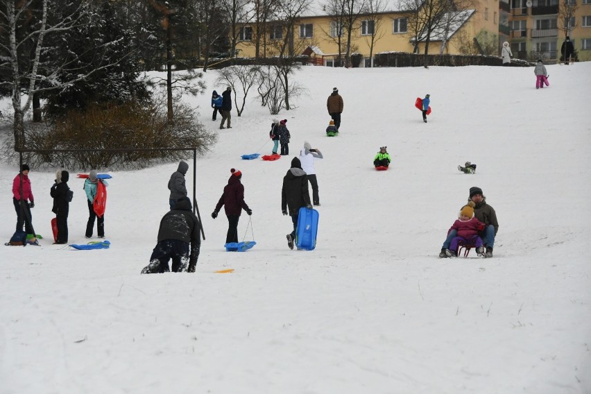 Dużo osób zjeżdżało w Parku Dygasińskiego na Bocianku.