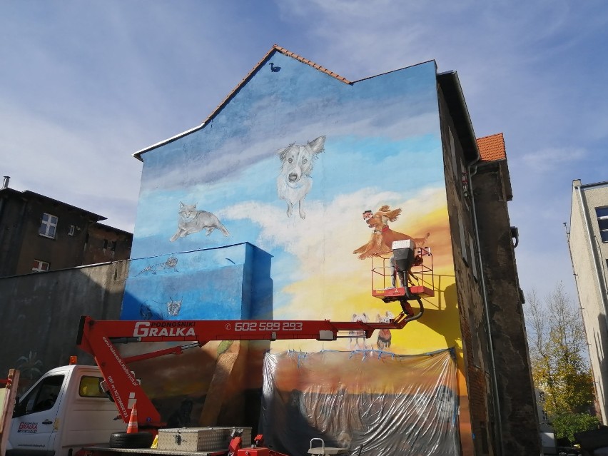 Trzy murale w centrum Wałbrzycha rosną w oczach [ZDJĘCIA]