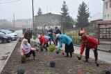 Seniorzy w Tarnówce w ramach warsztatów posadzili rośliny
