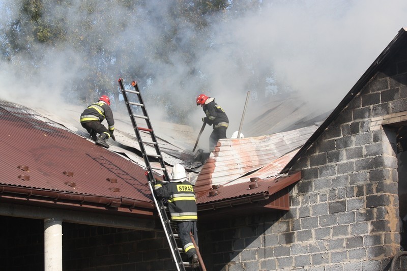 Strażacy gasili pożar w Porębie, na szczęście nikt nie ucierpiał [FOTO i WIDEO]