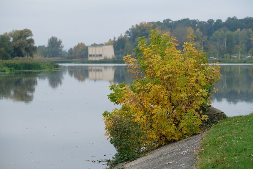 Jesień zapanowała na Bulwarach nad Wisłokiem w Rzeszowie.