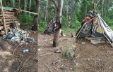Las w Rokitkach Tczewskich tonie w śmieciach [ZDJĘCIA] 