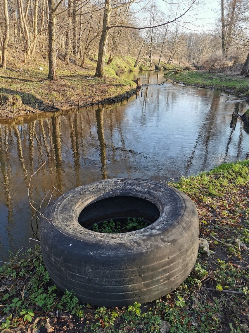 Społeczna akcja sprzątania brzegów rzeki Łupi w Skierniewicach już w sobotę