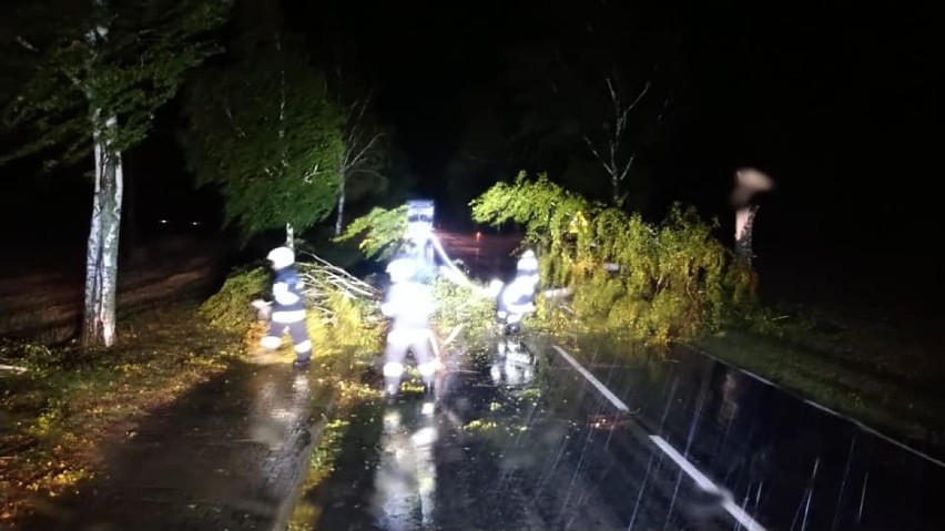 Minionej nocy na terenie powiatu pleszewskiego interweniowali aż 17 razy