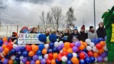 Finał Wielkiej Orkiestry Świątecznej Pomocy w Sosnowcu. Zagrali Feel i Blue Cafe