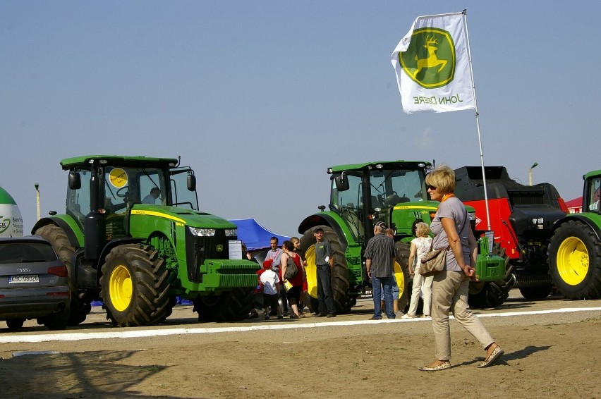 Międzynarodowe targi tulipanów w Chrzypsku Wielkim - 1 maja