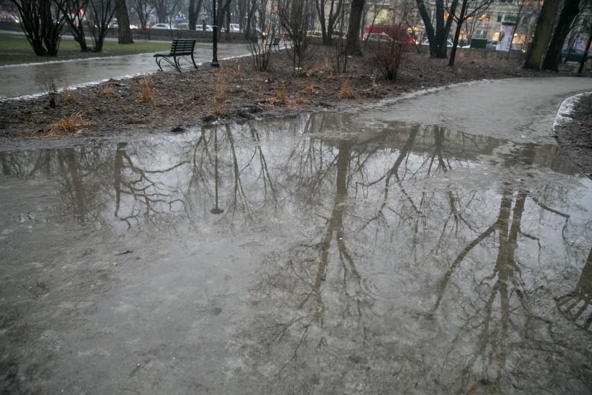 Tak wyglądał park Krakowski w poniedziałek. „Ale to jest...