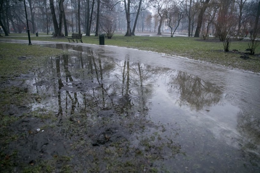 Tak wyglądał park Krakowski w poniedziałek. „Ale to jest...