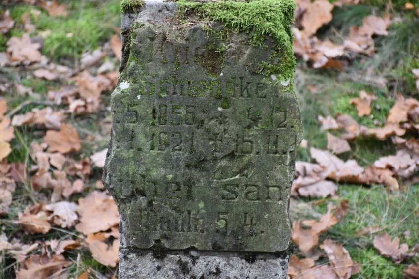 Gmina Siedlec: Nieczynny cmentarz ewangelicki w Mariankowie 
