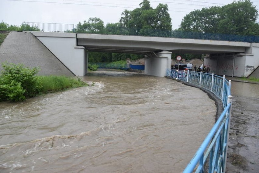 Tarnów