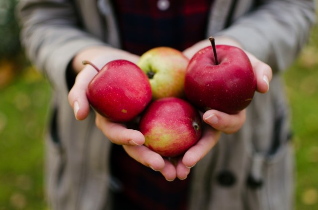 Jedno jabłko warto jadać każdego dnia.