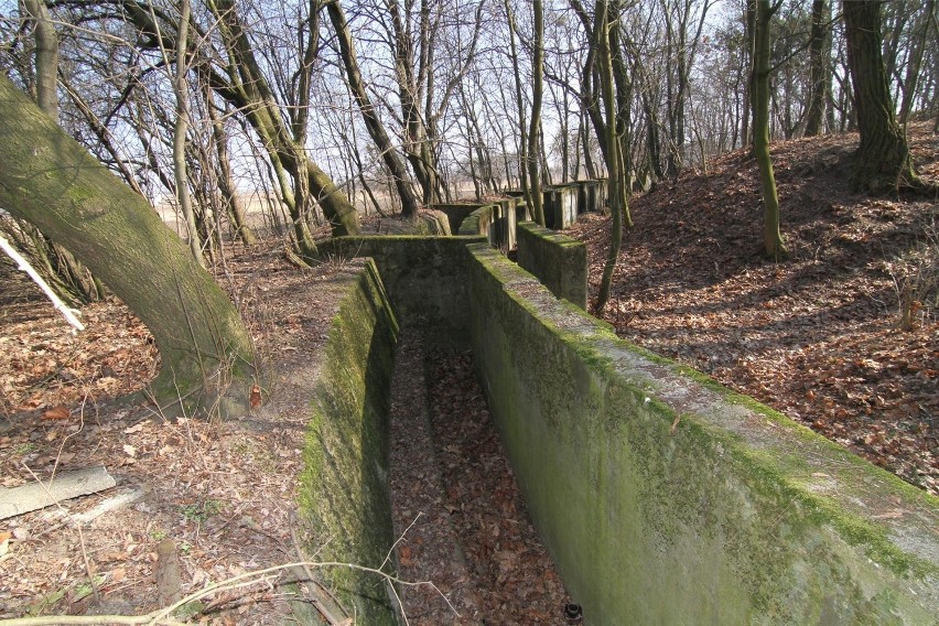 Wrocławskie schrony i fortyfikacje