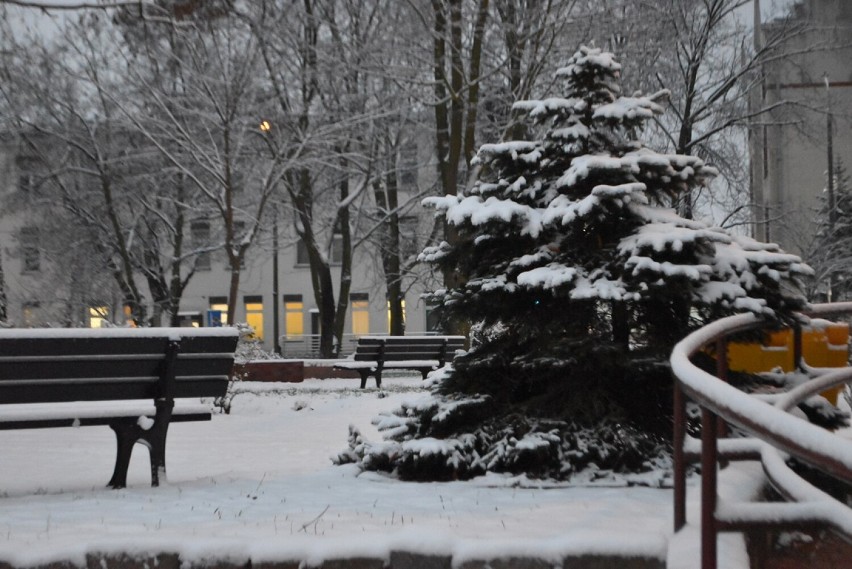 Zima 2021 w Głogowie. Miasto pokryło się białym puchem. Zdjęcia