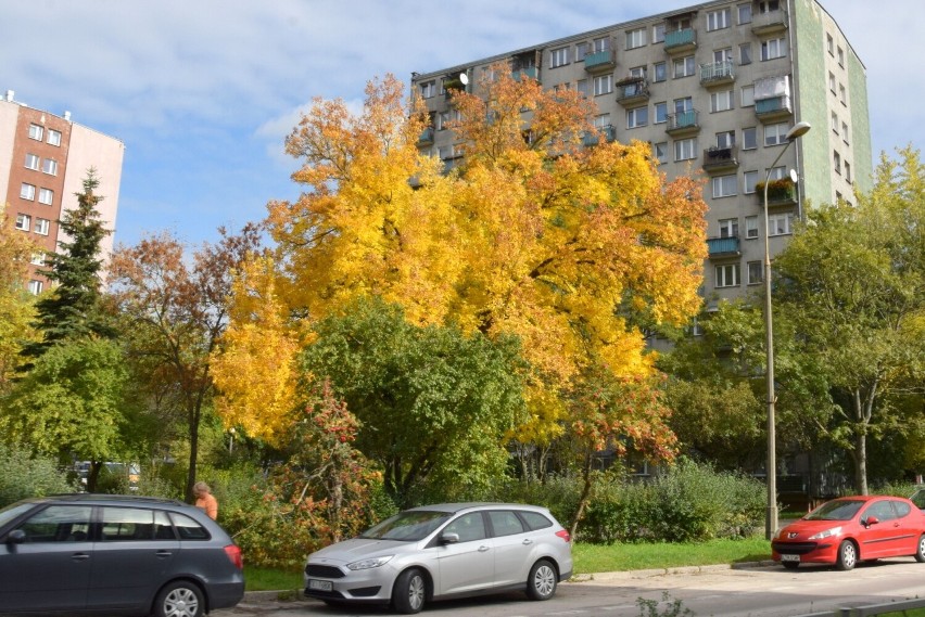 Ulica Bohaterów Warszawy w Kielcach