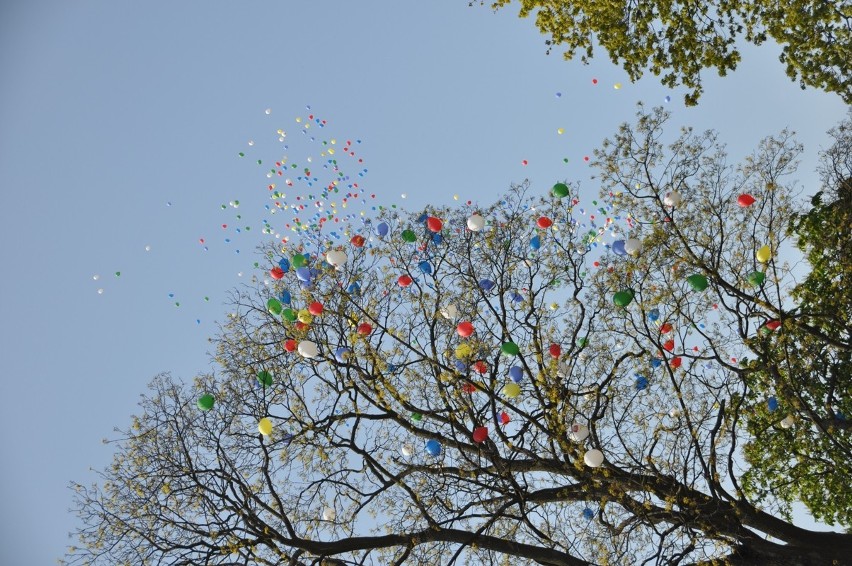 Uroczystości 3 maja w Żukowie. 800 balonów na urodziny miasta