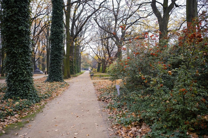 Jesień w Łazienkach Królewskich. Zjawiskowe zdjęcia ze spaceru po najpiękniejszym ogrodzie w Warszawie