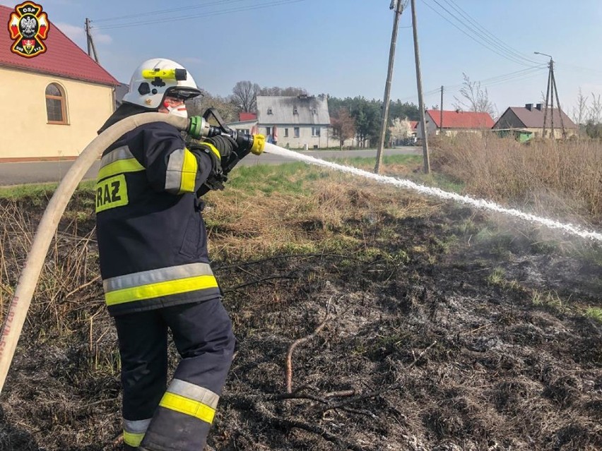 Sokołowice: OSP wyjeżdżało do pożaru traw (GALERIA ZDJĘĆ)