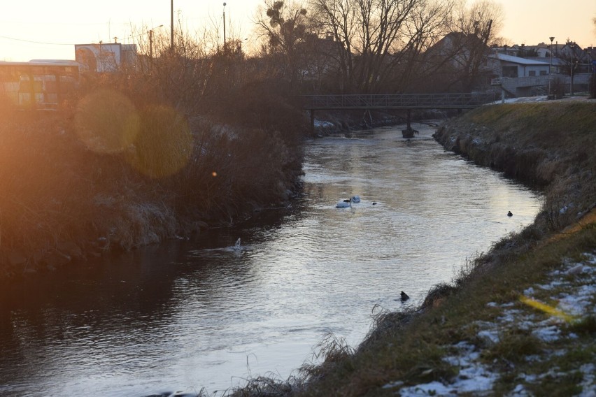 Spacer nad Radunią w Pruszczu. Znałeś wszystkie te miejsca? | ZDJĘCIA