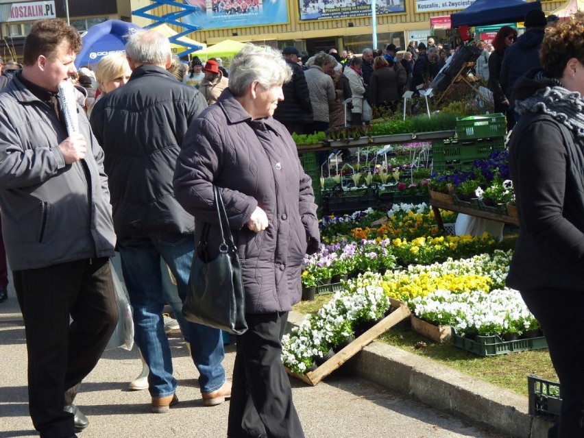 Tradycyjnie w pierwszy weekend kwietnia w Koszalinie odbyły...