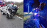 Tragiczny wypadek w Dalewie. 27-letni mieszkaniec Legnicy wjechał w drzewo. Mężczyzna zginął na miejscu [ZDJĘCIA] 