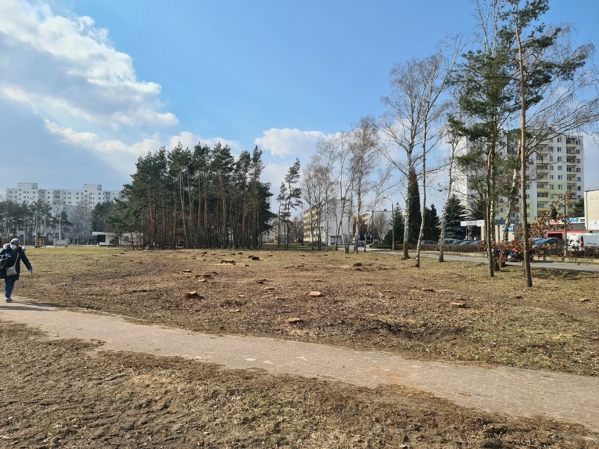 Ul. Olimpijska. Tu ma powstać jeden z parkingów park&ride