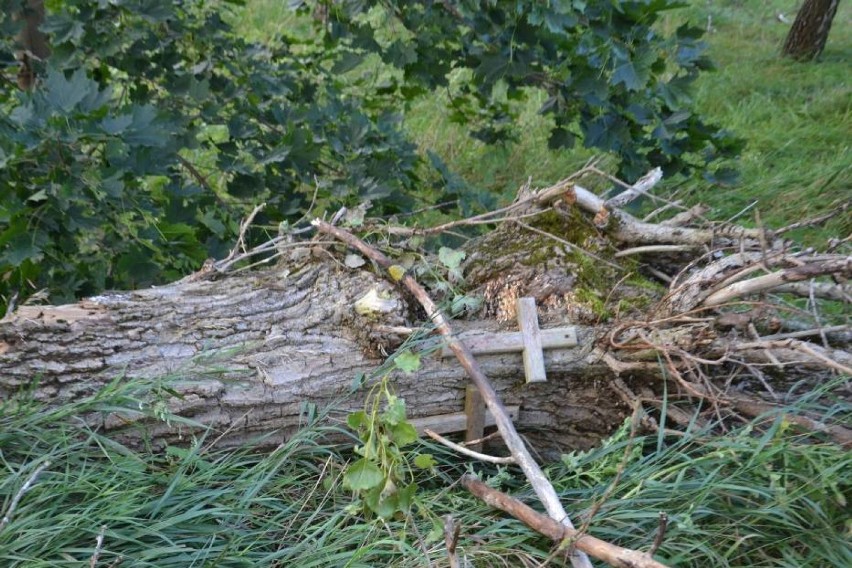 Tak przed rokiem wyglądał powiat kościerski po nawałnicy. Dziś mieszkańcy będą dziękować za ocalone życie [ZDJĘCIA]