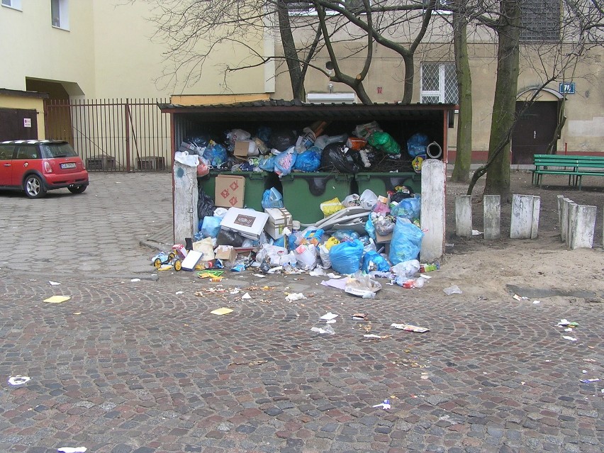 Tak co tydzień, w niedzielę prezentuje się śmietnik przy ul....