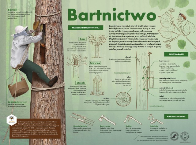 Światowy Dzień Pszczół. Sprawdź, jak wygląda wsparcie bartnictwa na terenie Nadleśnictwa w Poddębicach