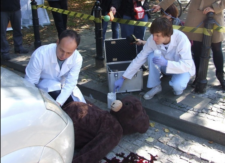 Przemyśl: Ratowali rannego niedźwiadka