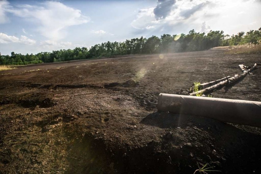 Bomba ekologiczna tyka w Krakowie. Wspólne śledztwo „Krakowskiej” i RMF Maxxx