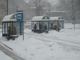 Mikołów: Zimowy kwiecień w centrum miasta - ciągle sypie śnieg