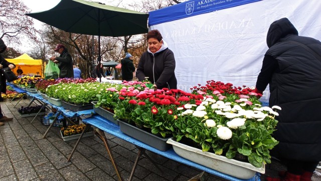 Wiosenny targ na plantach w Kaliszu