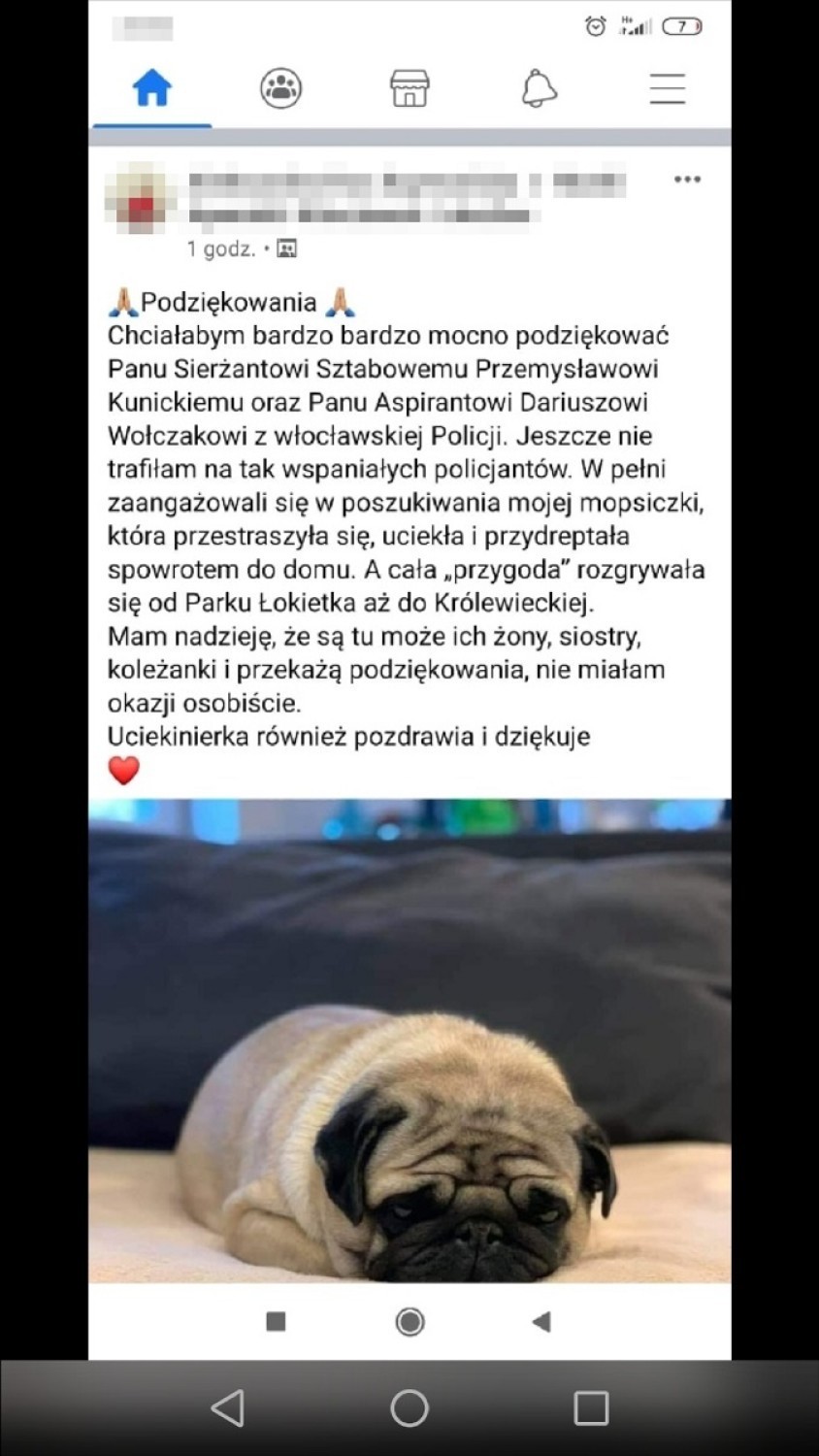 Policjanci z Włocławka szukali psa, który jednak sam wrócił do domu. Dostali miłe podziękowania