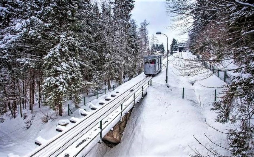 KRYNICA - ZDRÓJ - GÓRA PARKOWA...