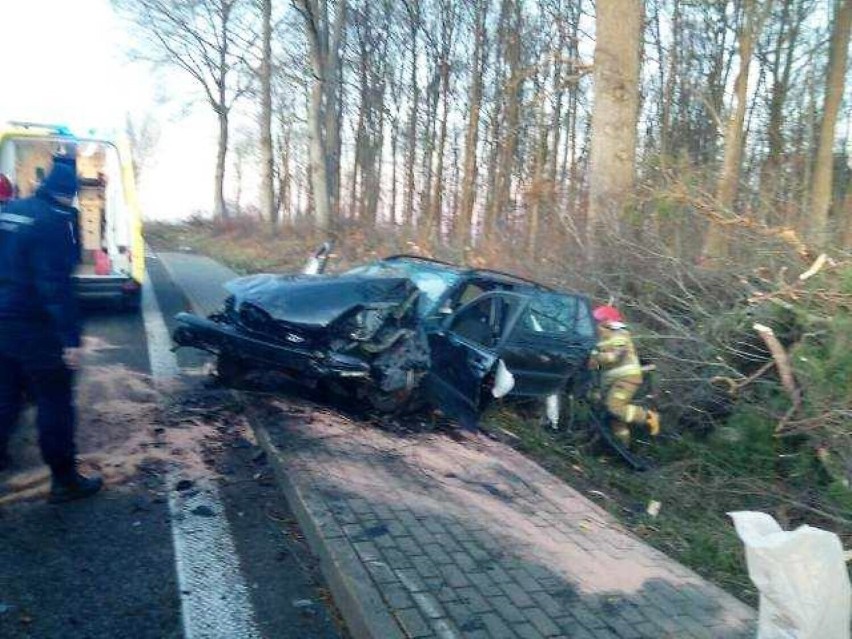 BMW uderzyło w drzewo w okolicy Noskowa