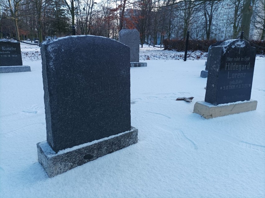 Lapidarium w Oleśnicy już gotowe