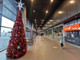 To smutny widok. Puste lotnisko w Pyrzowicach przed świętami. Oto Katowice Airport bez pasażerów