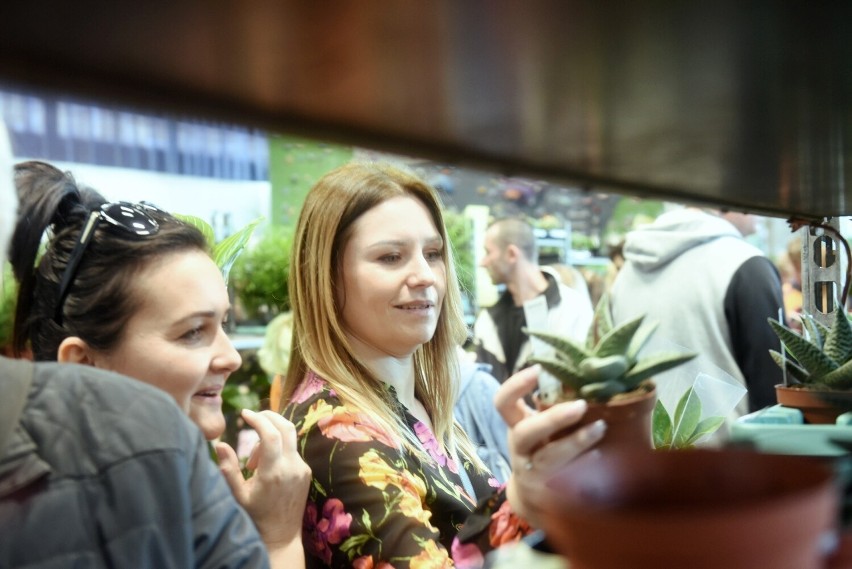 Rośliny, które możecie podziwiać na festiwalu przyjechały...