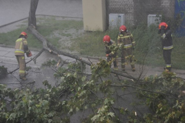 Gwałtowna nawałnica nad Zduńską Wolą. Piorun powalił drzewo