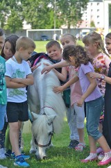 Dzień Dziecka w SP Puck. Uczniowie pojeździli na koniach ze Stajni Swarzewo | ZDJĘCIA