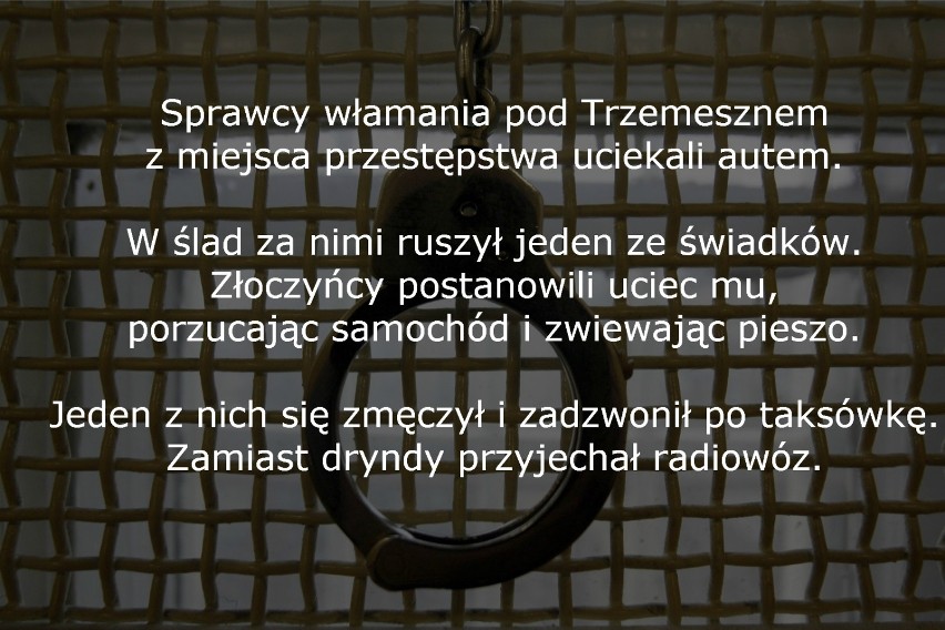 Najgłupsi przestępcy z Wielkopolski