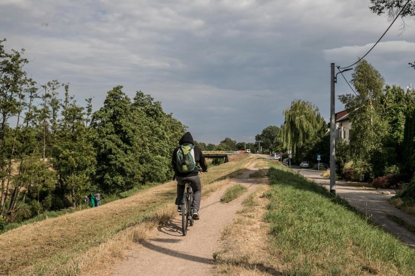 Kraków. Wały Rudawy zyskają ścieżkę rowerową z łąką
