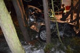 Bełchatów. Pijana kierująca o włos od tragedii. Jej mazda zakleszczyła się między drzewami