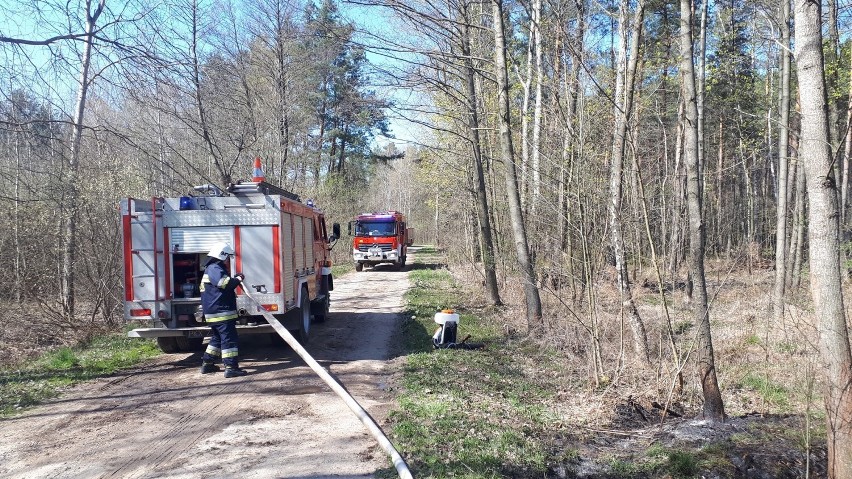 Pożary lasów w powiecie piotrkowskim. Kwiecień 2020