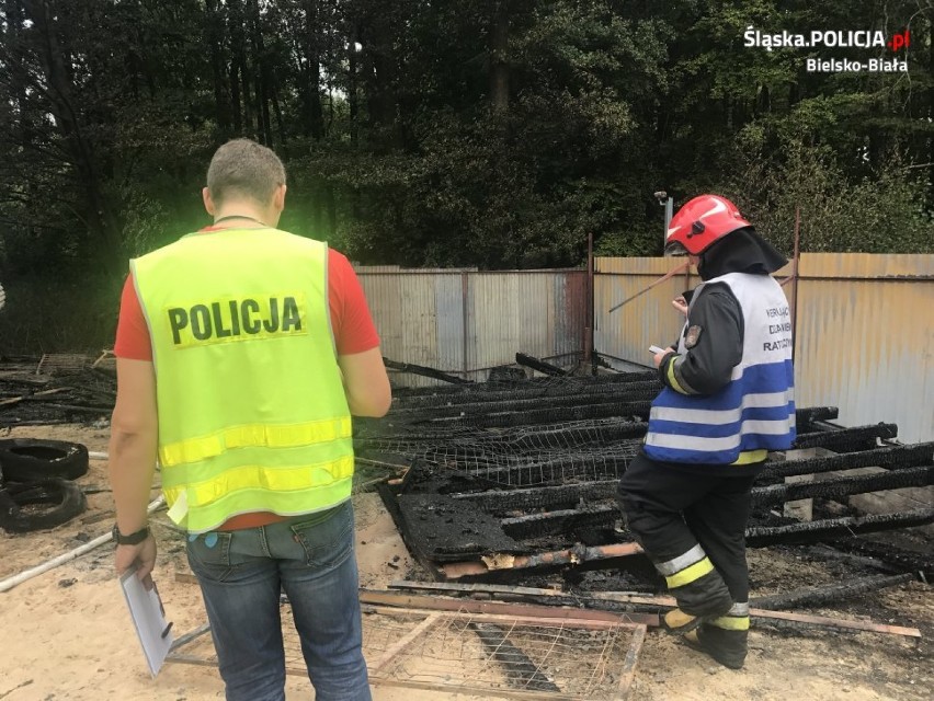 Pożar w hotelu dla psów w Czechowicach-Dziedzicach. W płomieniach zginęły dwa psy. Policja apeluje o pomoc