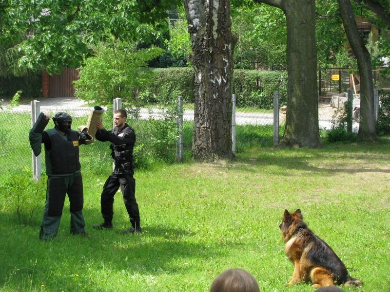 Policjanci w przedszkolu w Nowinach [zdjęcia]