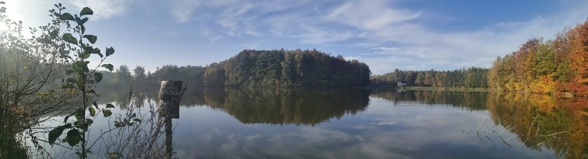 Piękny jesienny dzień w Rybniku! Jaka pogoda w weekend?