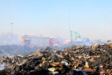 Palące się składowiska odpadów to ogromne zagrożenie dla środowiska i ludzi. Czy odpady da się skutecznie utylizować?